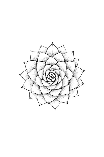 Kövirózsa-rozetta dotwork tetoválásminta