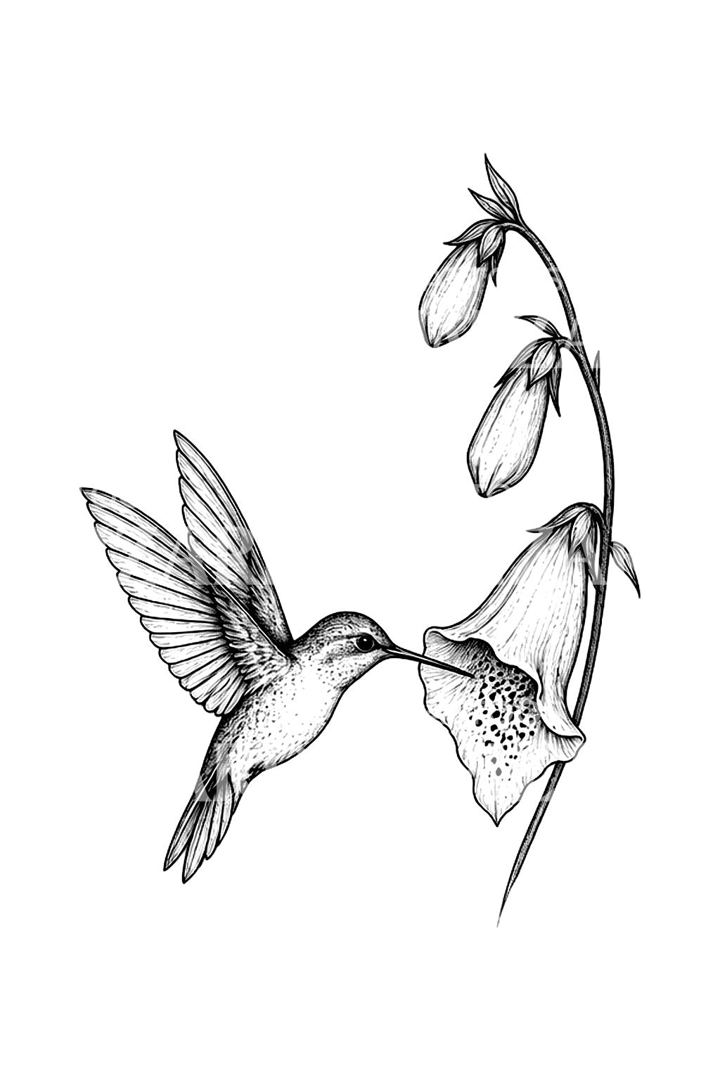 Diseño de tatuaje de colibrí y dedalera
