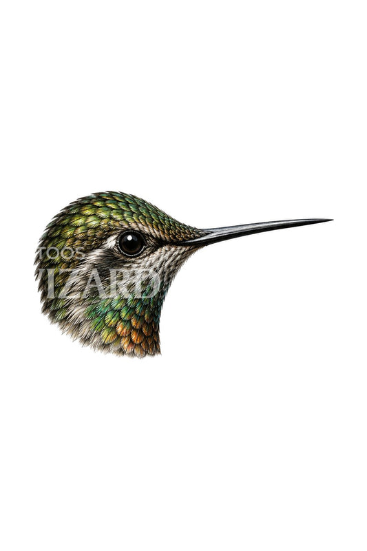 Kolibrihuvud i profil, tatueringsdesign