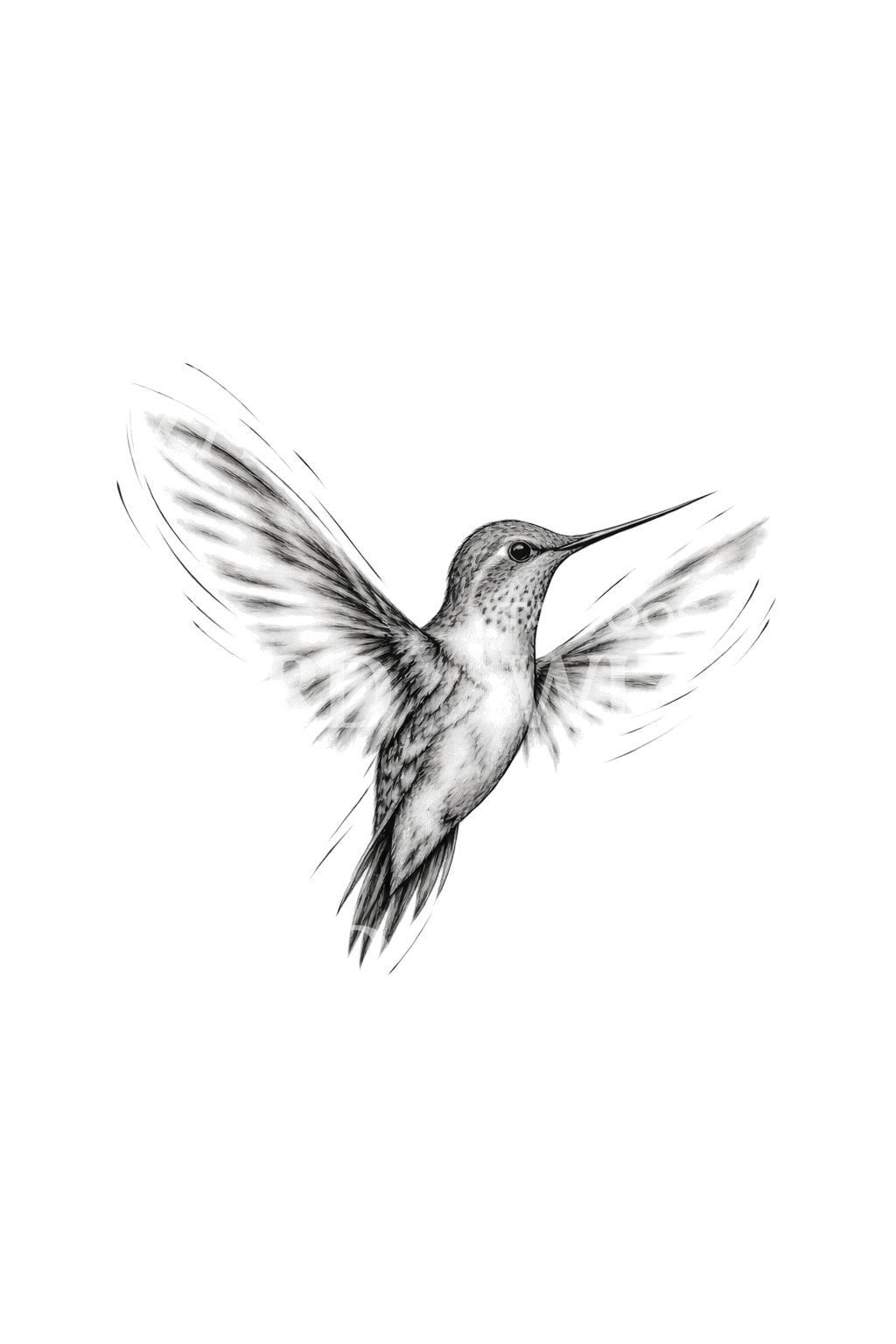 Hummingbird with Blurred Sketch Wings Tattoo Idea