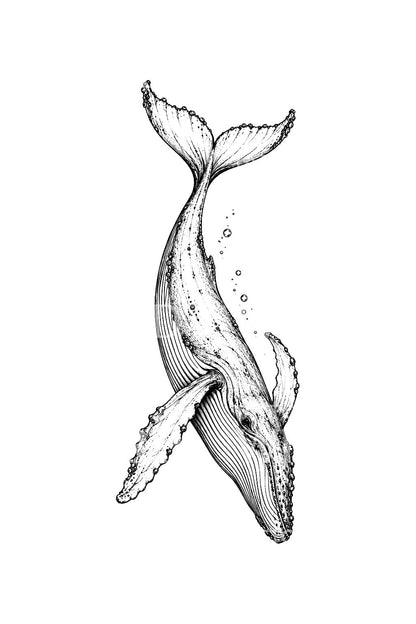 Humpback Whale Descent Tail Up Tattoo Illustration