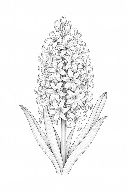 Hyacinth Spike Fine Line Tattoo Design