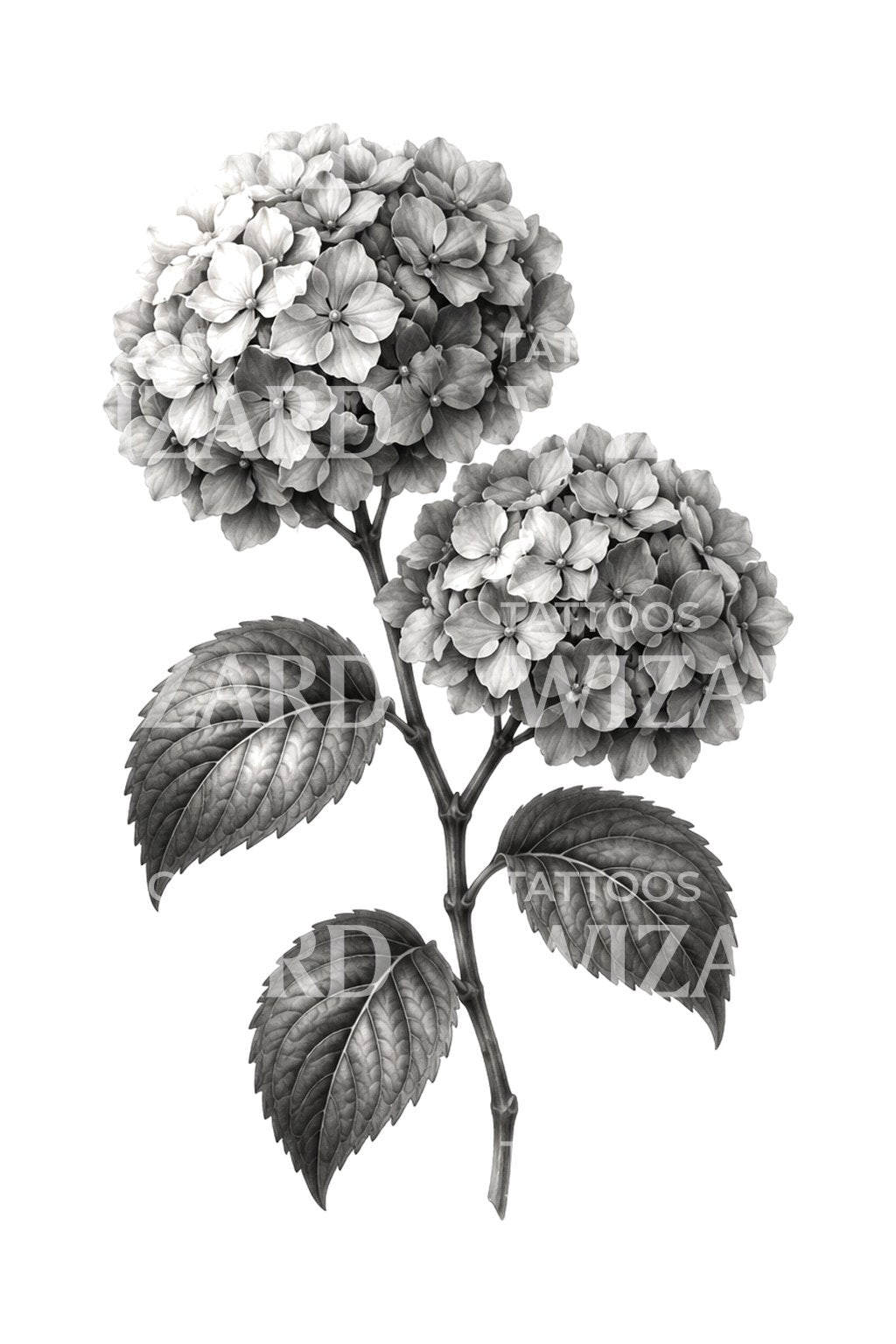 Tatouage branche d’hortensia en noir et gris