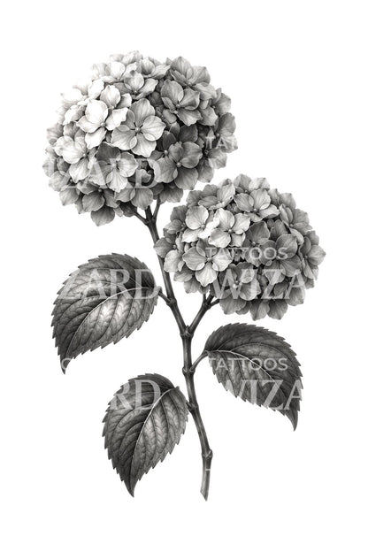 Tatouage branche d’hortensia en noir et gris