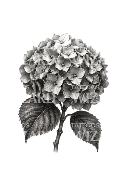 Tattoo-Design Hortensienblüte in Schwarz und Grau