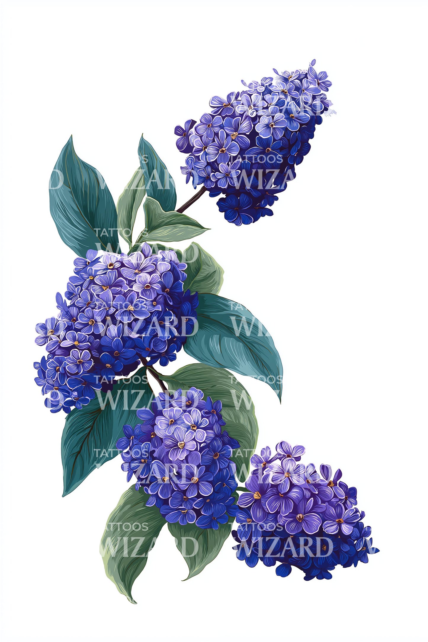 Hydrangea Duo Branch Tattoo Design