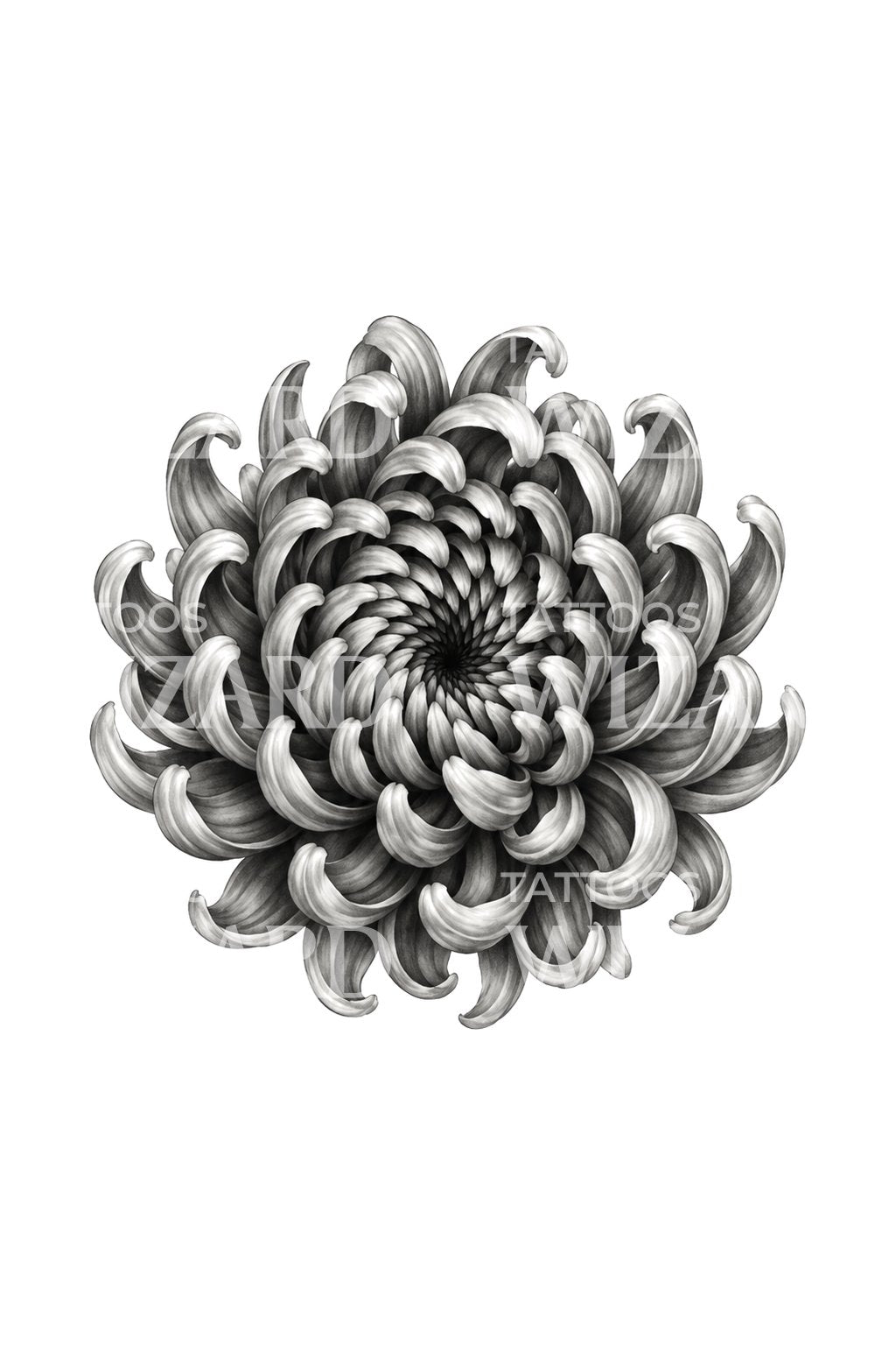 迷幻螺旋菊花纹身设计