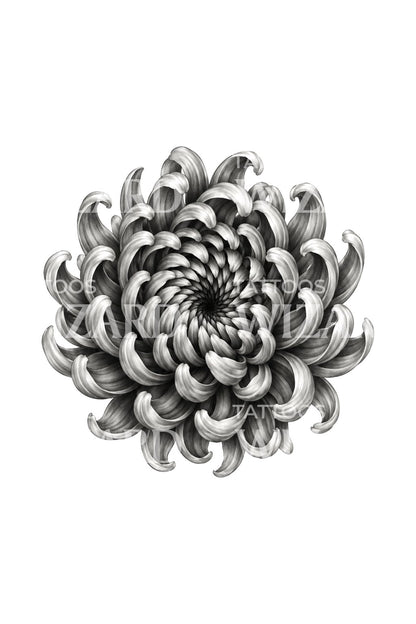 迷幻螺旋菊花纹身设计