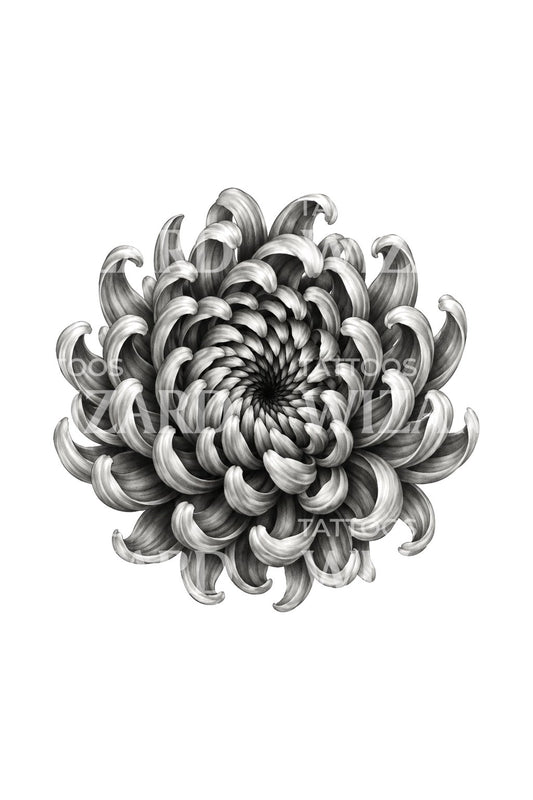 Hypnotic Spiral Chrysanthemum Tattoo Design