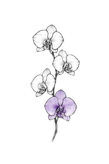 Ink Orchid Stem with One Violet Bloom Tattoo Illustration