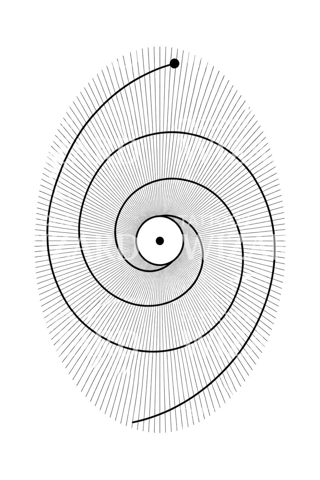 Design per tatuaggio con spirale involuta a filo
