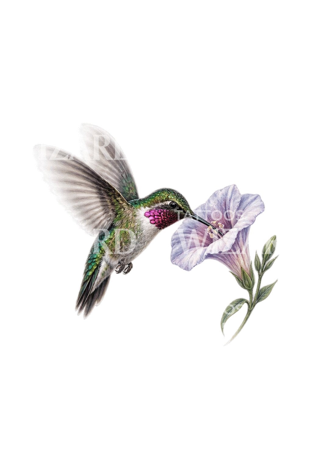 Tatueringsillustration av en skimrande grön kolibri