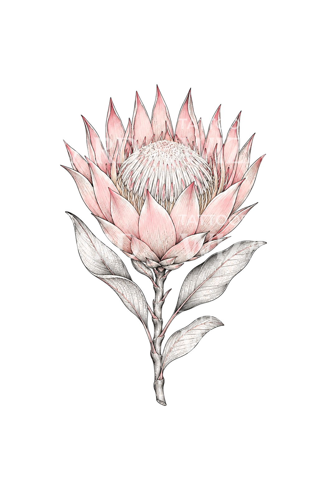Tatouage fleur de protée royale en fine ligne