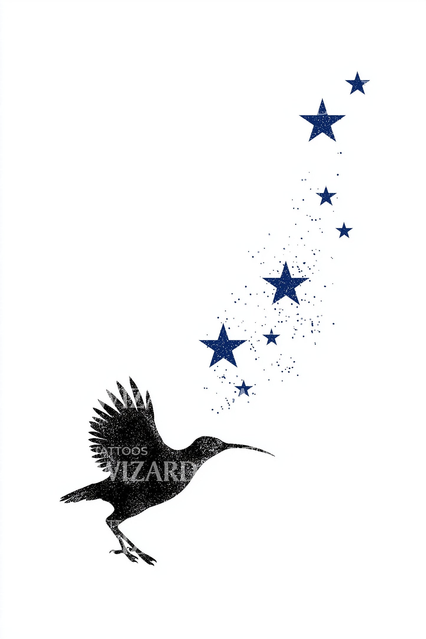 Ilustrace tetování Kiwi Star Trail