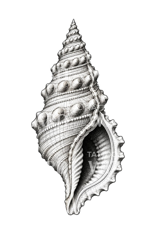 Desain Tato Cangkang Triton Berbenjol