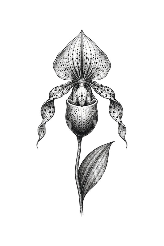 Lady Slipper Orchid Dotwork Tattoo Design