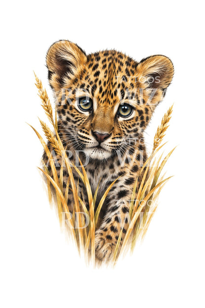 Leopardí mládě ve zlaté trávě, tetovací ilustrace
