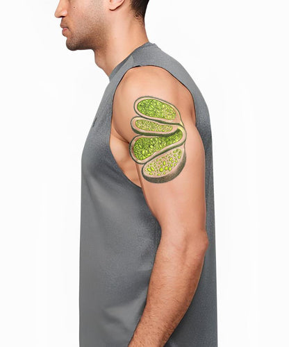 Lime Spiral Slices Tattoo Design