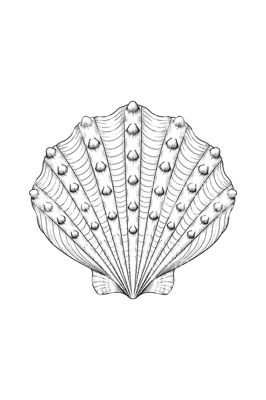 Lions Paw Scallop Knobbed Ribs Tattoo Design