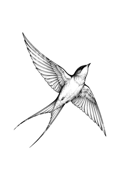Lone Swallow Soaring Tattoo Illustration