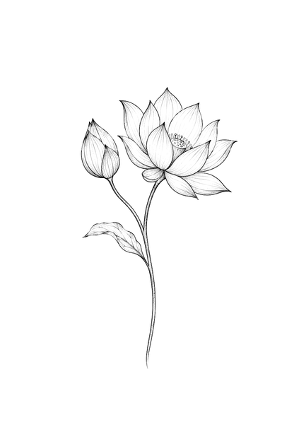 同一枝茎上的莲花花苞与盛放花朵细线纹身灵感