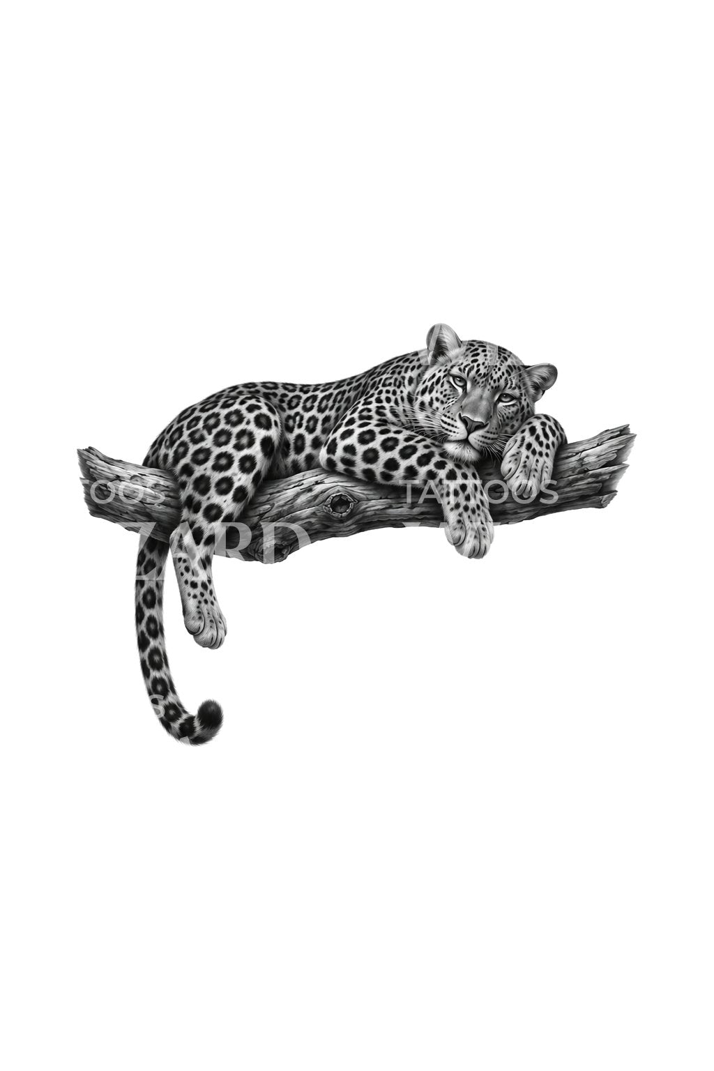Lounging Leopard on Branch Realism Tattoo Illustration
