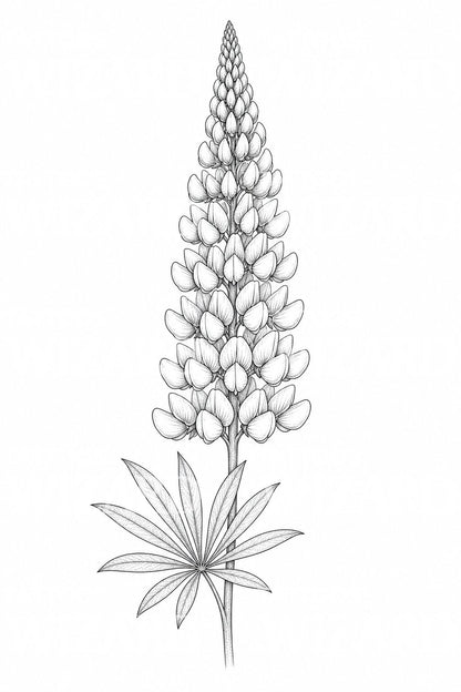 Motif de tatouage fine line épi de lupin