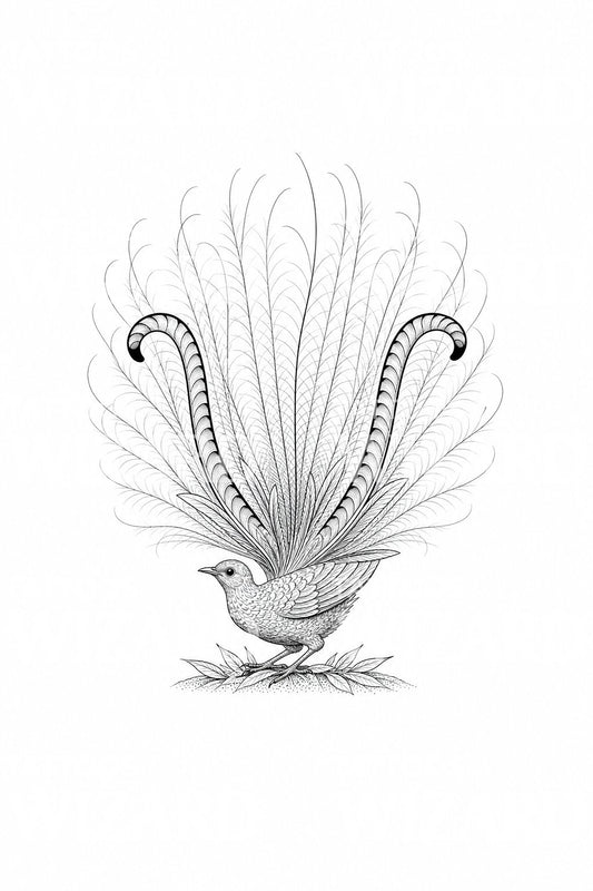 Ilustración de tatuaje de ave lira en todo su esplendor