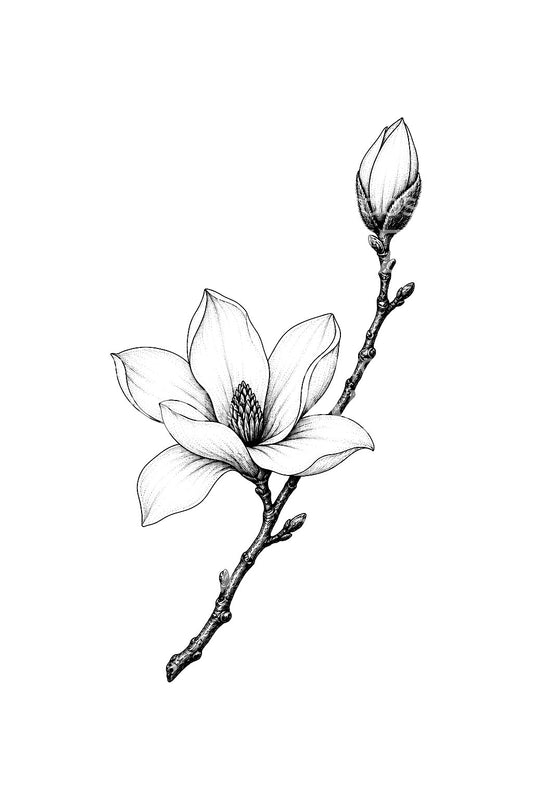Idée de tatouage branche de magnolia en première floraison