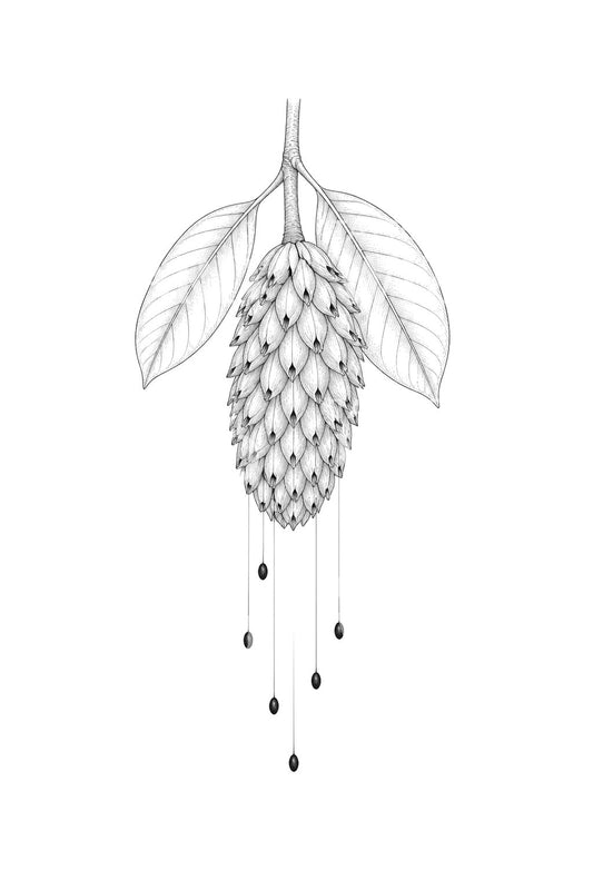 Magnolia Seed Cone Tattoo Design