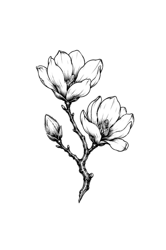 Magnolia Twig Ink Drawing Tattoo Illustration