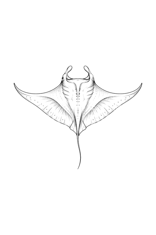 Manta Ray from Above Fine Line Tattoo Idea