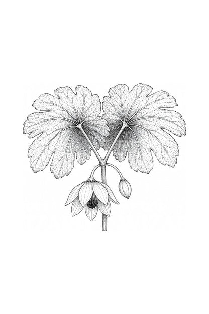 Mayapple-blader og skjult blomst tatoveringsdesign