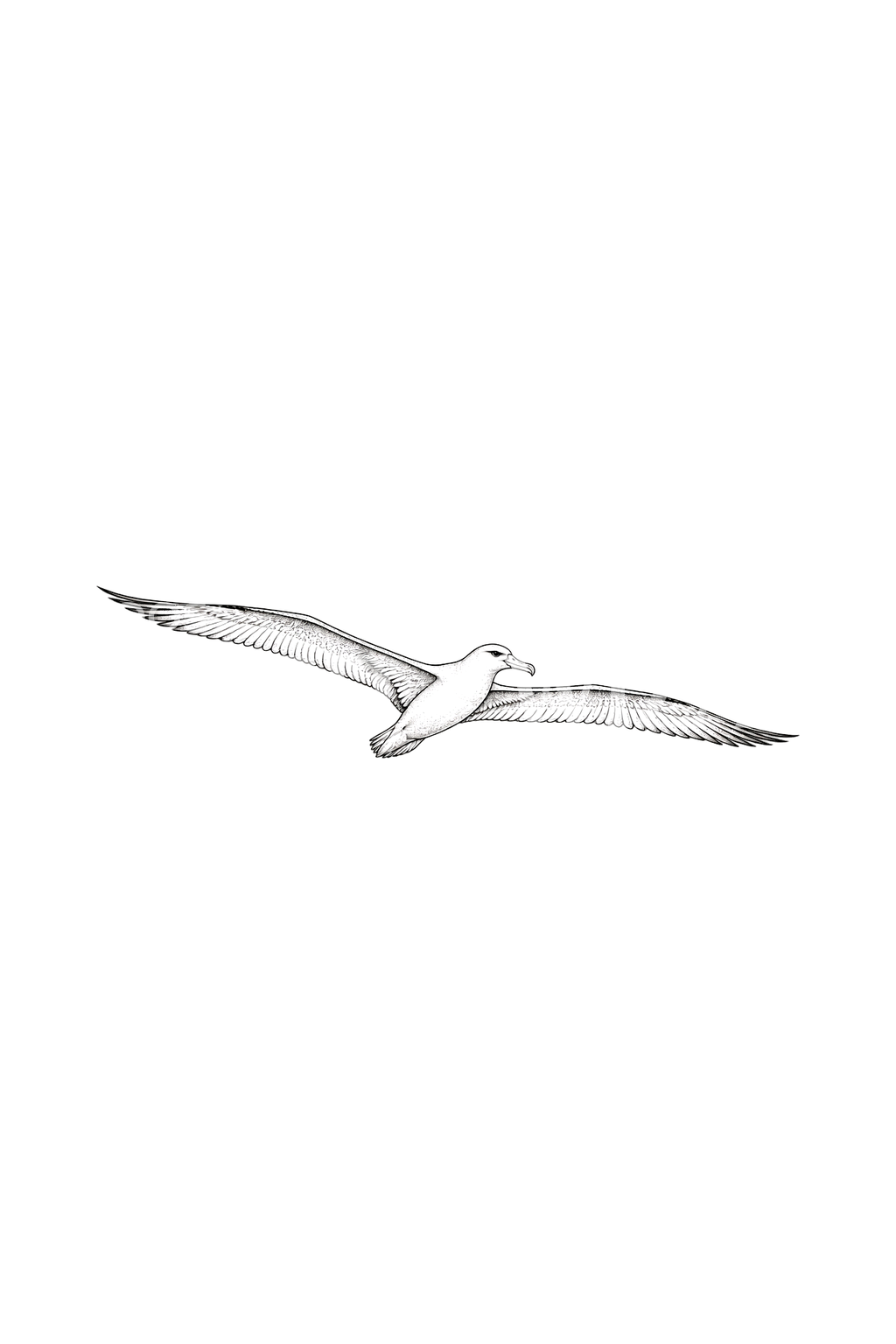 Minimal Albatross Gliding Fine Line Tattoo