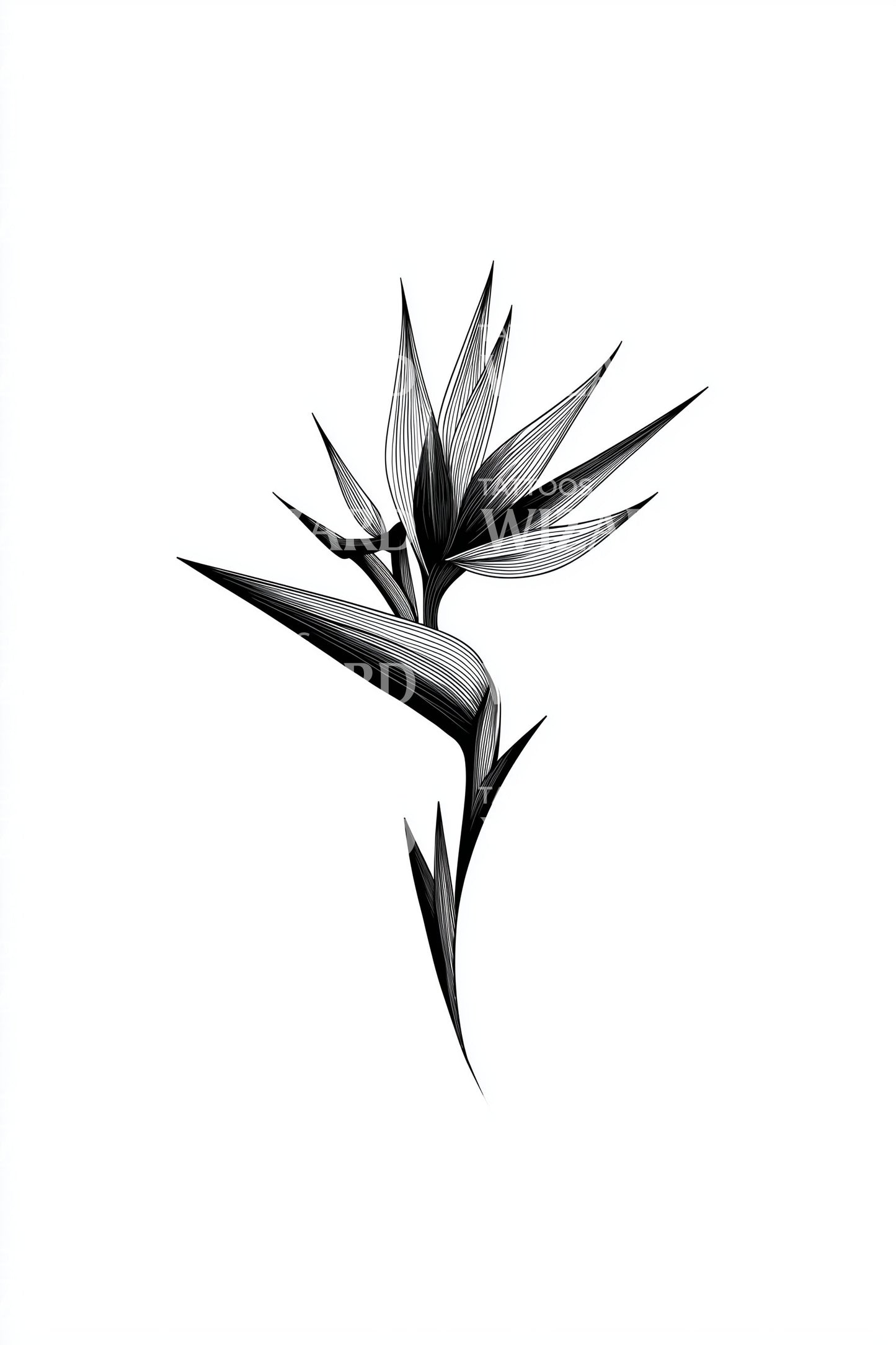 Minimal Bird of Paradise Tattoo Design