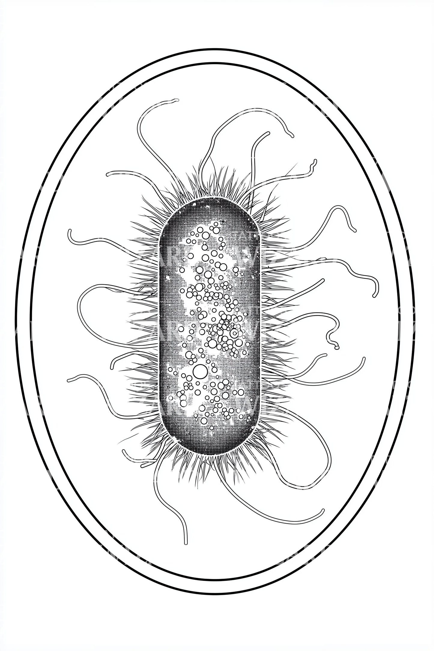 Minimal Petri Bacteria Tattoo Idea