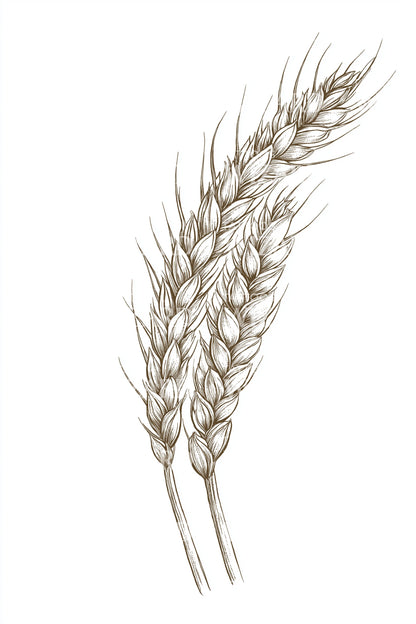 Minimal Wheat Stalk Tattoo Idea