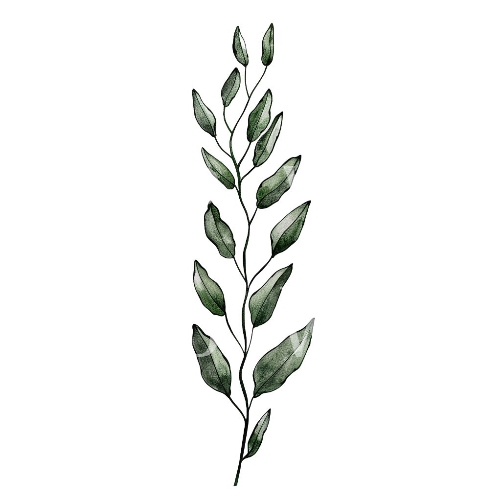 Une conception minimaliste de tatouage de plantes d’algues