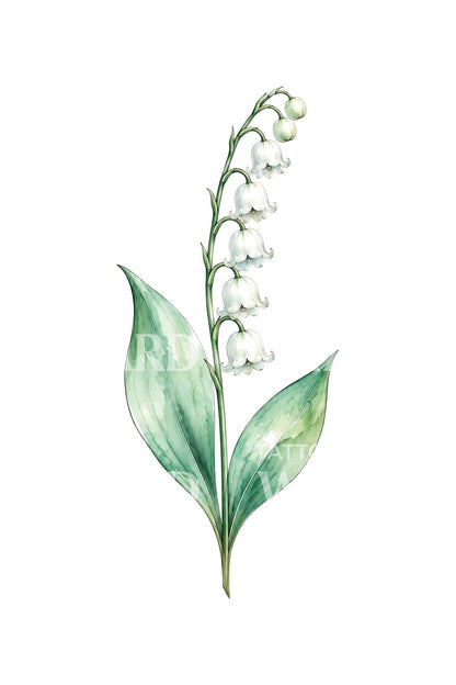 Ide tato bunga lily of the valley bernuansa mint