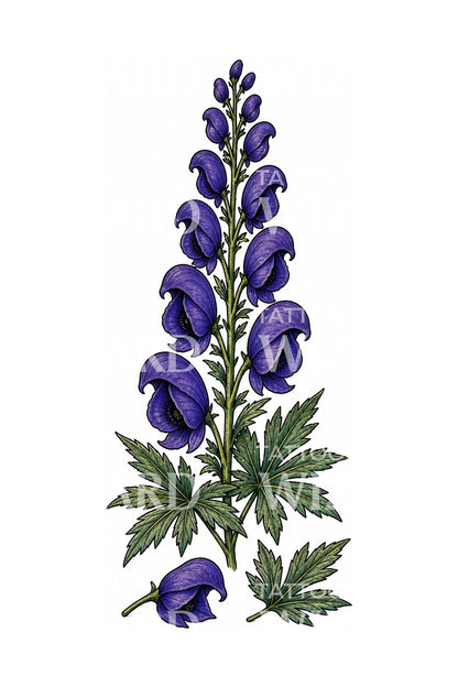 Projekt tatuażu Monkshood Aconite Spire