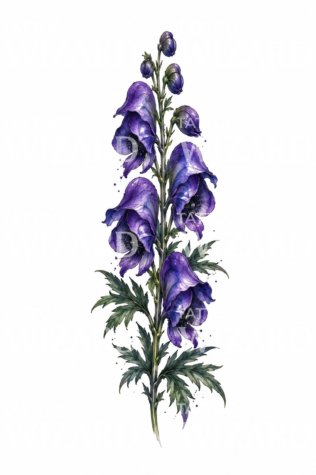 Violettes Eisenhut-Tattoo-Design
