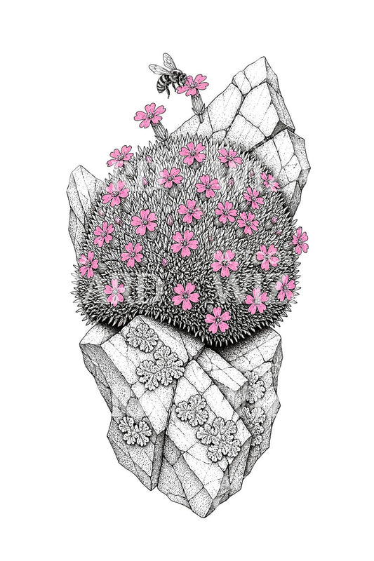 Design per tatuaggio di silene a cuscinetto