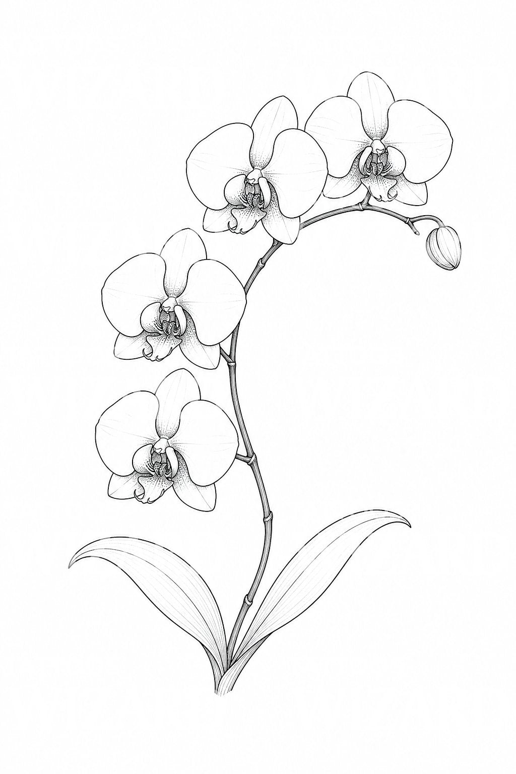 Tattoo-Design mit Phalaenopsis-Orchideenrispe