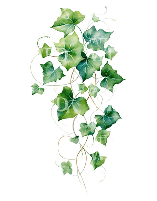 Watercolor Ivy Tattoo Design