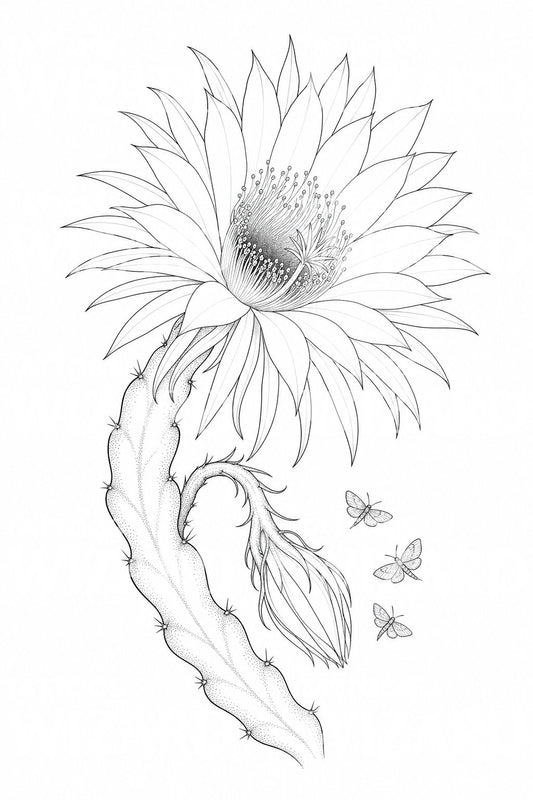 Night Blooming Cereus Tattoo Design