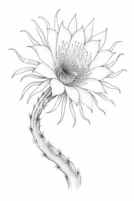 Σχέδιο τατουάζ με νυχτοανθισμένο Cereus