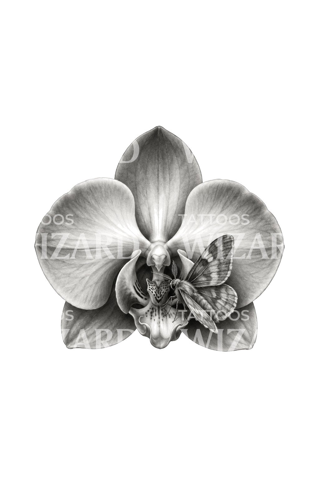 Tattoo-Illustration eines nächtlichen Besuchers auf einer grauen Orchidee