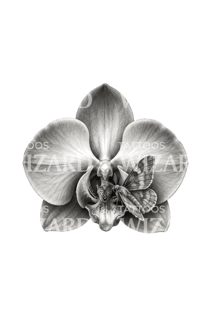Tattoo-Illustration eines nächtlichen Besuchers auf einer grauen Orchidee