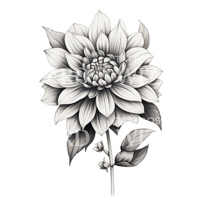 Black and Grey Dahlia Tattoo Design