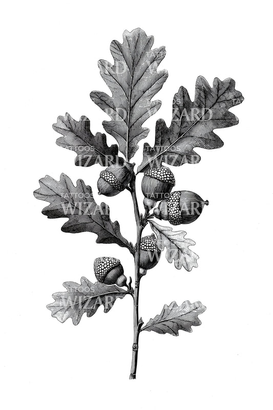 Oak Branch Acorns Tattoo Design